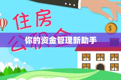 徐闻你的资金管理新助手
