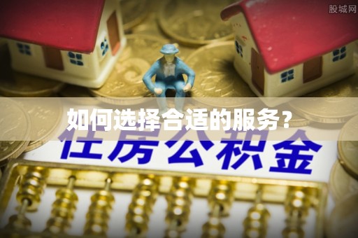 徐闻如何选择合适的服务？