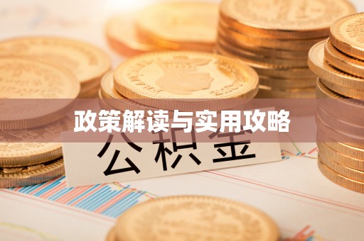 徐闻政策解读与实用攻略