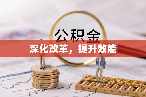 徐闻深化改革，提升效能