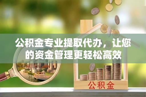 徐闻公积金专业提取代办，让您的资金管理更轻松高效