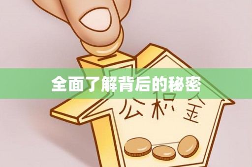 徐闻全面了解背后的秘密