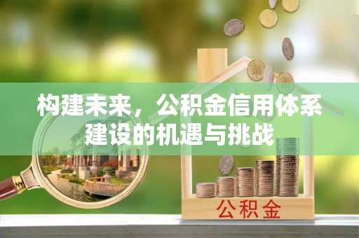 徐闻构建未来，公积金信用体系建设的机遇与挑战