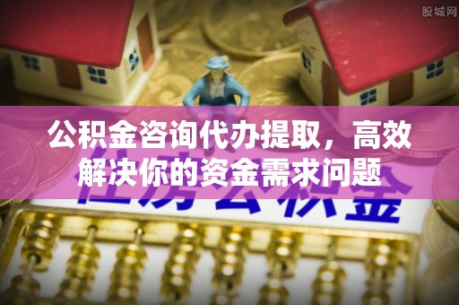 徐闻公积金咨询代办提取，高效解决你的资金需求问题