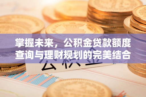 徐闻掌握未来，公积金贷款额度查询与理财规划的完美结合