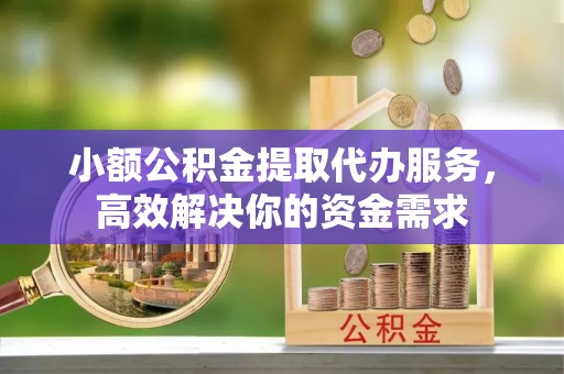 徐闻小额公积金提取代办服务，高效解决你的资金需求