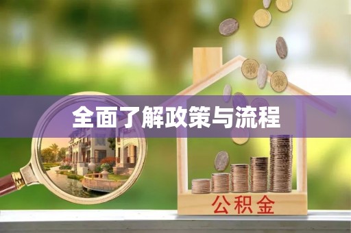 徐闻全面了解政策与流程