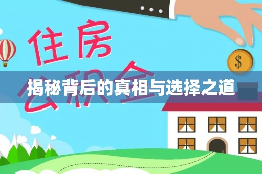 徐闻揭秘背后的真相与选择之道