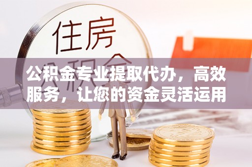 徐闻公积金专业提取代办，高效服务，让您的资金灵活运用