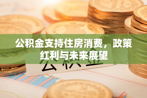 徐闻公积金支持住房消费，政策红利与未来展望