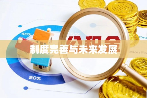 徐闻制度完善与未来发展