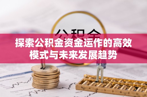 徐闻探索公积金资金运作的高效模式与未来发展趋势