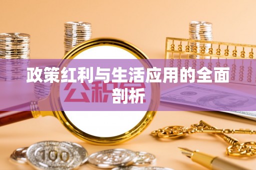 徐闻政策红利与生活应用的全面剖析
