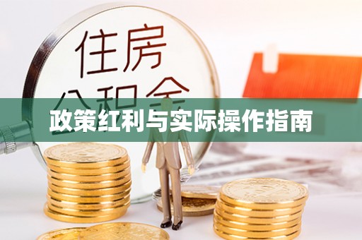 徐闻政策红利与实际操作指南