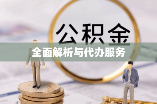 徐闻全面解析与代办服务
