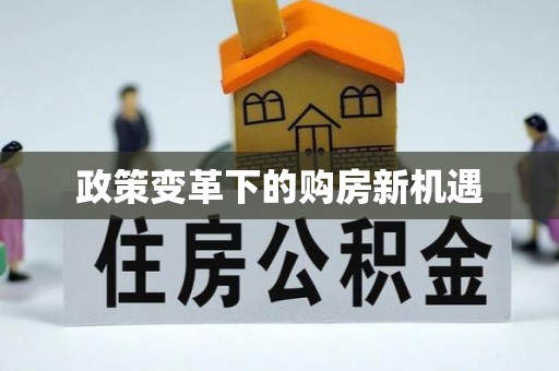 徐闻政策变革下的购房新机遇