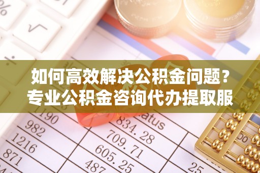 徐闻如何高效解决公积金问题？专业公积金咨询代办提取服务来帮你