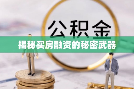 徐闻揭秘买房融资的秘密武器
