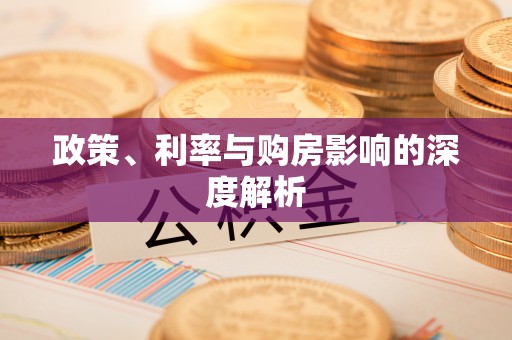 徐闻政策、利率与购房影响的深度解析