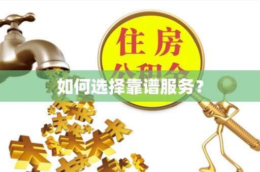徐闻如何选择靠谱服务？