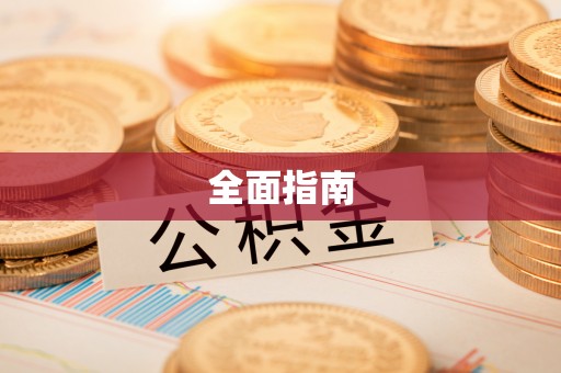 徐闻全面指南