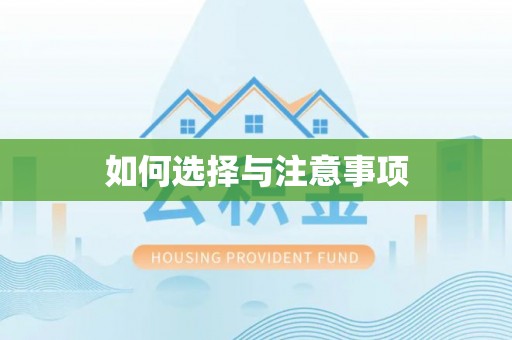 徐闻如何选择与注意事项