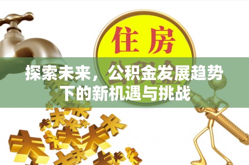 徐闻探索未来，公积金发展趋势下的新机遇与挑战
