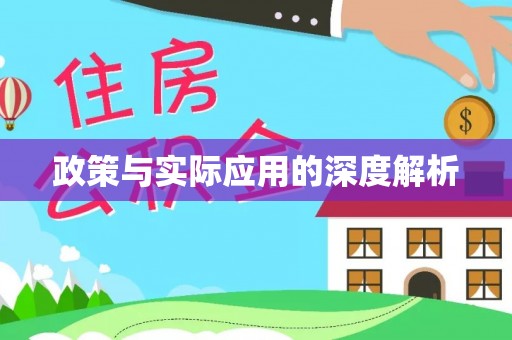 徐闻政策与实际应用的深度解析