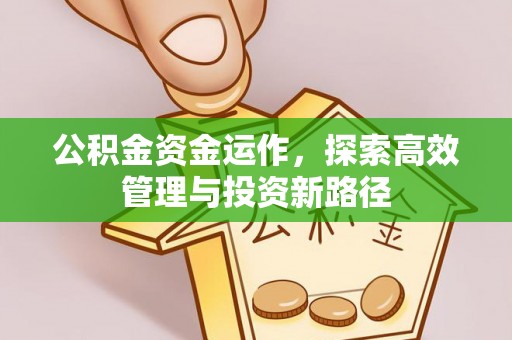 徐闻公积金资金运作，探索高效管理与投资新路径