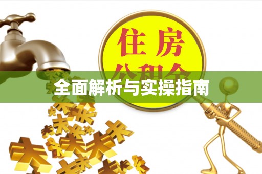 徐闻全面解析与实操指南