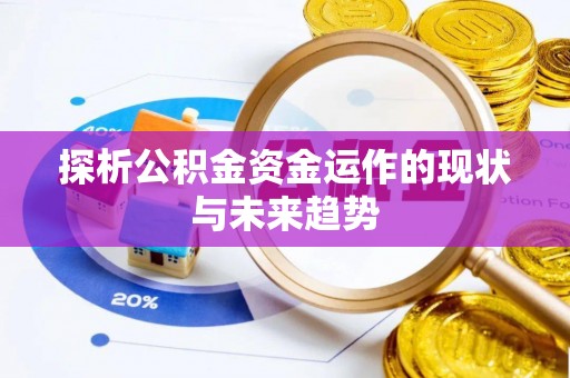 徐闻探析公积金资金运作的现状与未来趋势