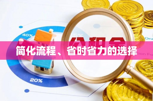 徐闻简化流程、省时省力的选择