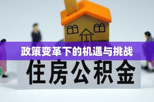 徐闻政策变革下的机遇与挑战