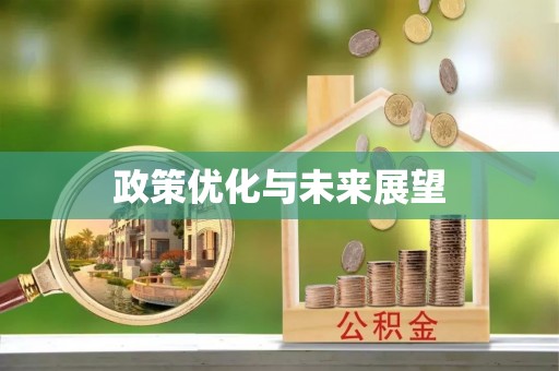 徐闻政策优化与未来展望