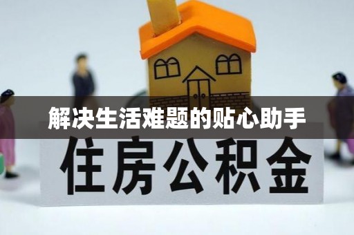 徐闻解决生活难题的贴心助手