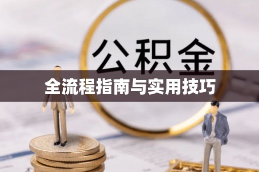 徐闻全流程指南与实用技巧