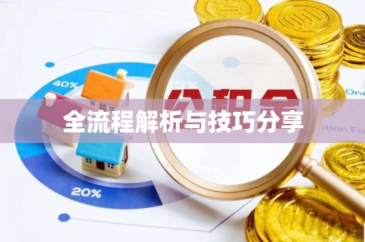 徐闻全流程解析与技巧分享