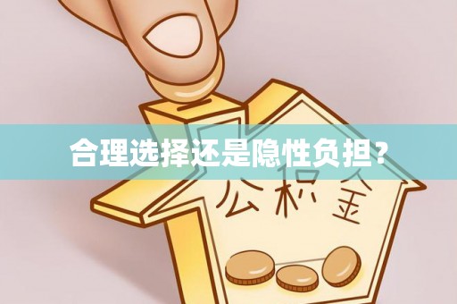 徐闻合理选择还是隐性负担？