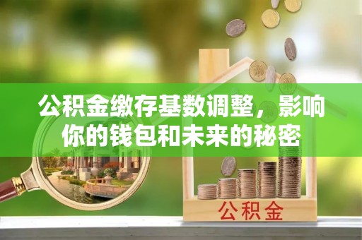 徐闻公积金缴存基数调整，影响你的钱包和未来的秘密