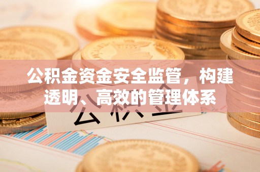 徐闻公积金资金安全监管，构建透明、高效的管理体系