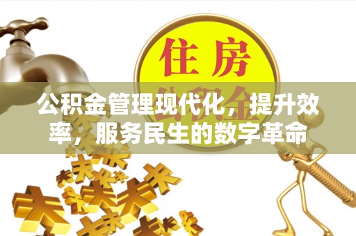 徐闻公积金管理现代化，提升效率，服务民生的数字革命