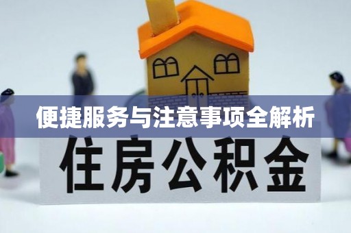 徐闻便捷服务与注意事项全解析