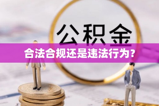 徐闻合法合规还是违法行为？