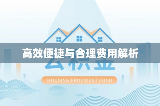 徐闻高效便捷与合理费用解析