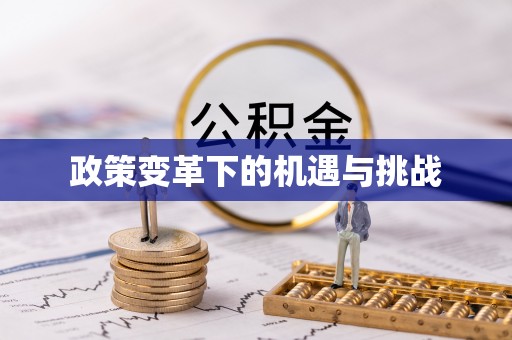 徐闻政策变革下的机遇与挑战