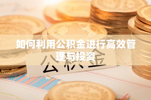 徐闻如何利用公积金进行高效管理与投资