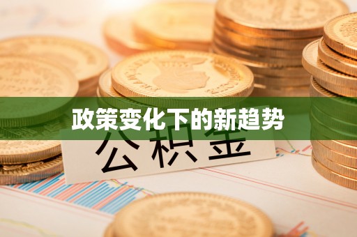 徐闻政策变化下的新趋势