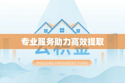 徐闻专业服务助力高效提取