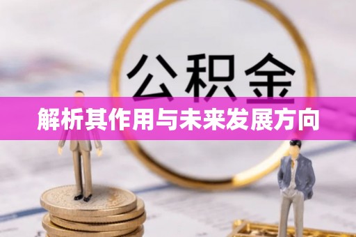 徐闻解析其作用与未来发展方向