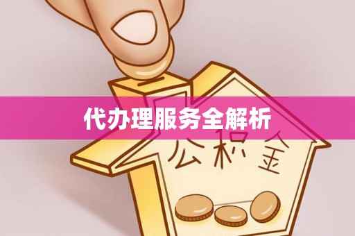 徐闻代办理服务全解析